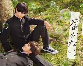 白帽seo能找到吗